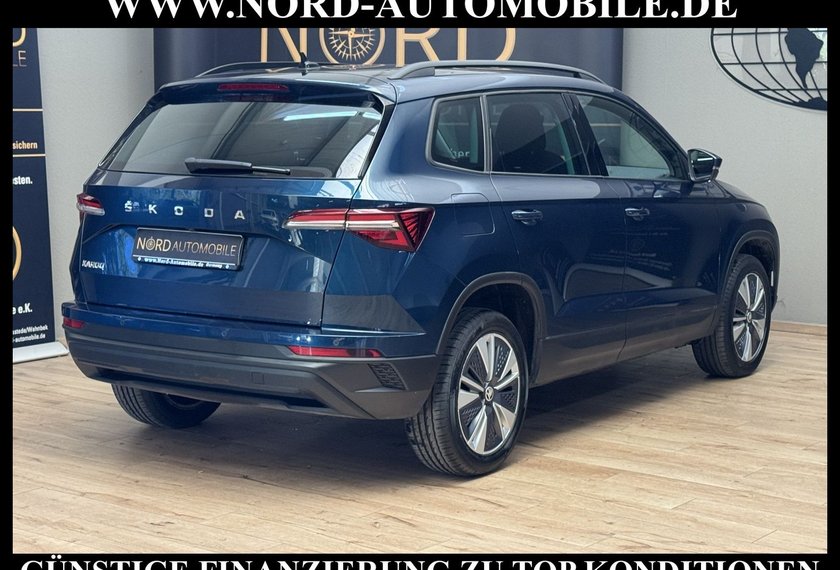 Skoda Karoq Karoq Business 2.0 TDI DSG Virt.Cockpit/Kamera/
