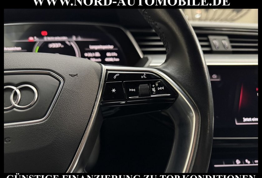 Audi e-tron e-tron 55 QU.S-Line Head-Up/Matrix/Side&amp;Lane/20