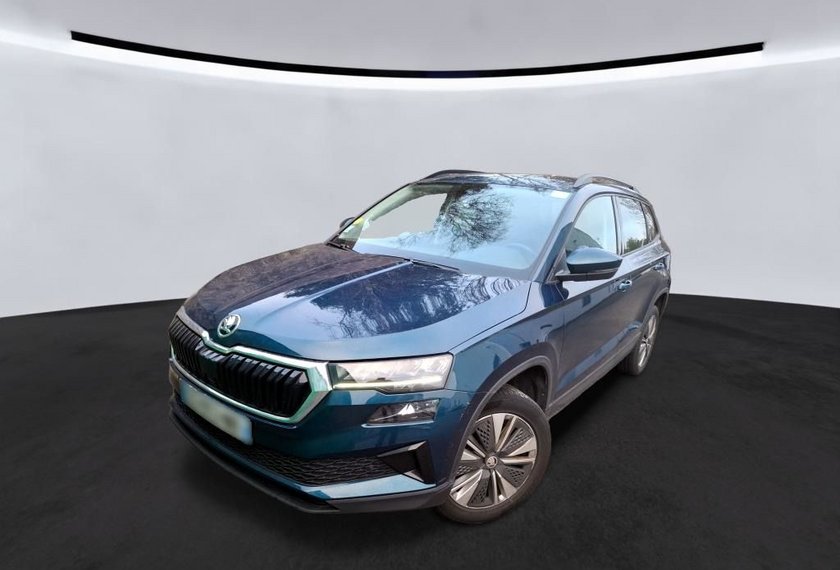 Skoda Karoq Karoq Business 2.0 TDI DSG Virt.Cockpit/Kamera/