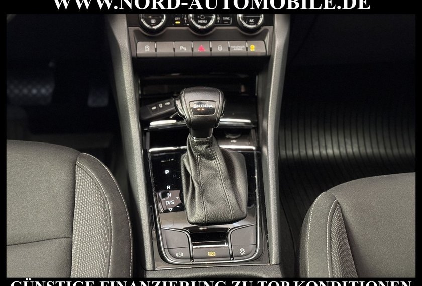 Skoda Karoq Karoq Ambition 2.0 TDI DSG Virt.Cockpit/AHK/Navi