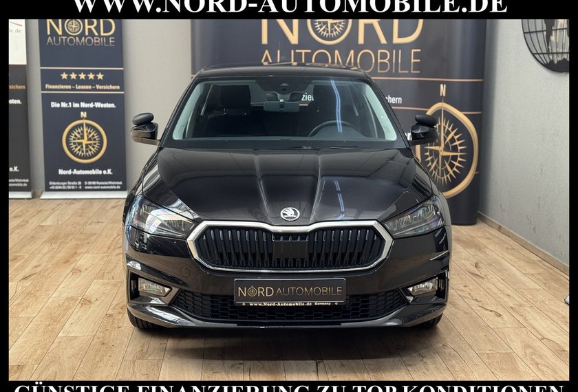 Skoda Fabia Fabia Ambition 1.0 TSI LED/Spurhalte/Klima/15