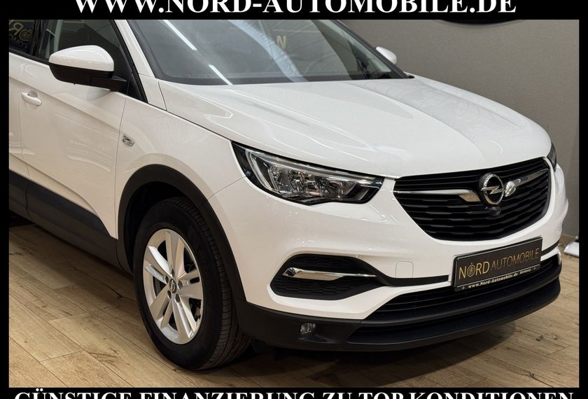 Opel Grandland (X) Grandland X 1.5 D Business *LED*AHK*360°*NAVI* B