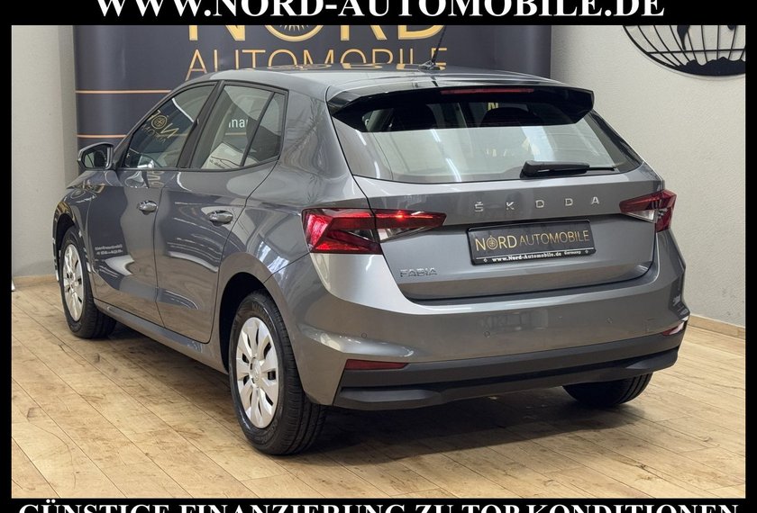 Skoda Fabia Fabia Active 1.0 TSI LED/PDC/Klima/Spurhalte