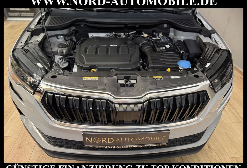 Skoda Karoq Karoq Style 2.0 TDI Navi/Kamera/Virt.Cockpit/18