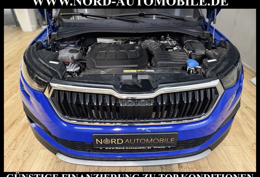 Skoda Kodiaq Kodiaq Ambition Tour 2.0 TDI DSG Matrix/Virt.Coc