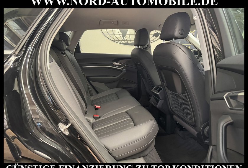 Audi e-tron e-tron 55 S-Line QU. Leder/Matrix/Kamera/20