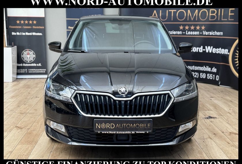 Skoda Fabia Fabia Ambition 1.0 TSI DSG Navi/PDC/ACC/AHK