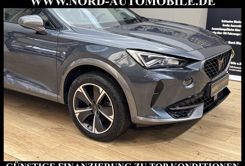 Cupra Formentor Formentor 2.0 TDI DSG AHK/StHZ/Navi/LED/Teillede