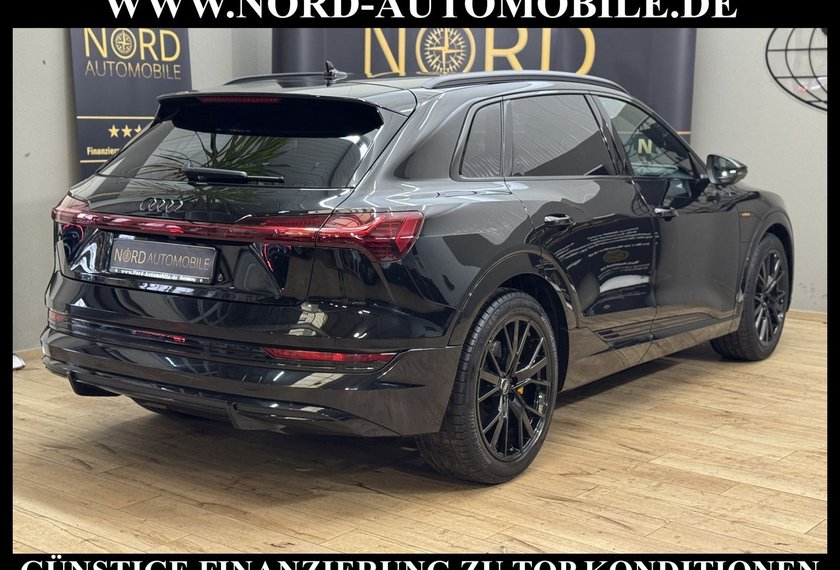 Audi e-tron e-tron 50 QU.S-Line Black Edition Matrix/Kamera/