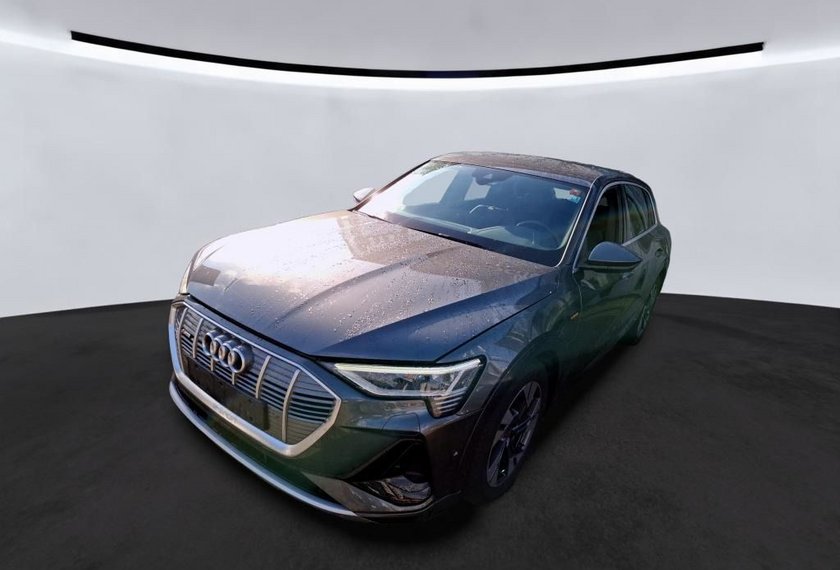 Audi e-tron e-tron 55 QU. S-Line Kamera/Navi/LED/SHZ/20