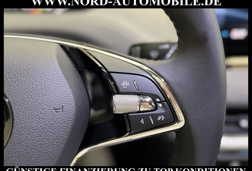 Skoda Enyaq Enyaq 50 Loft Automatik Teilleder/Kamera/Navi/19