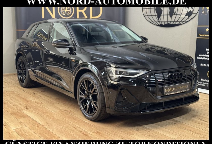 Audi e-tron e-tron 50 QU. S-Line Leder/Navi/LED/21/