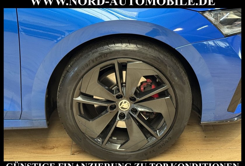 Skoda Octavia Octavia RS Combi 2.0 TDI DSG Navi/LED/PDC/18