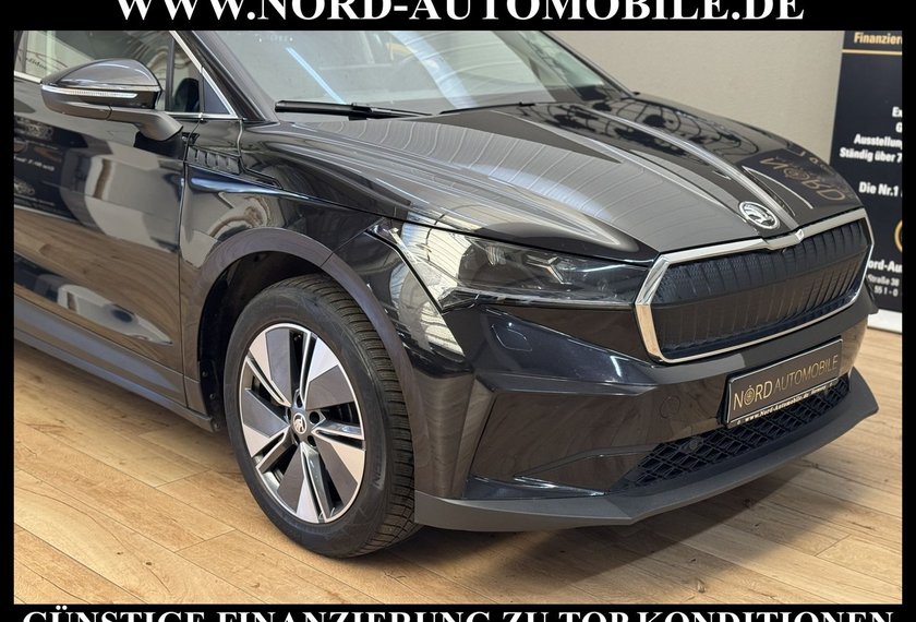 Skoda Enyaq Enyaq iV 80 Loft Automatik Kamera/Wärmepumpe/