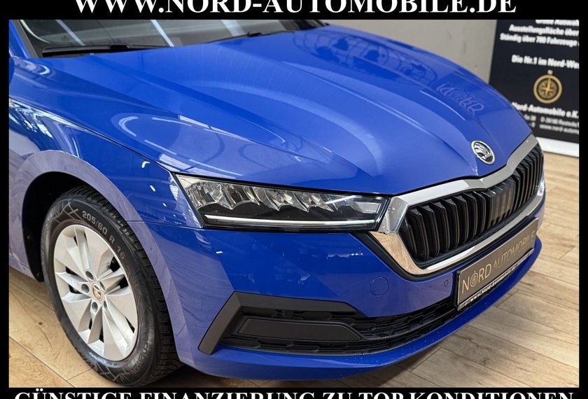 Skoda Octavia Octavia Combi Ambition 2.0 TDI DSG AHK/Kamera/