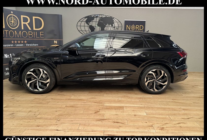 Audi e-tron e-tron 50 QU.S-Line Matrix/Kamera/21/