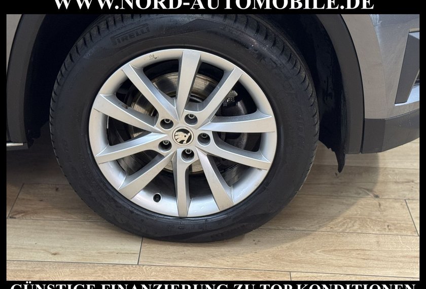 Skoda Kodiaq Kodiaq Ambition 2.0 TDI DSG Leder/AHK/Trittbrett