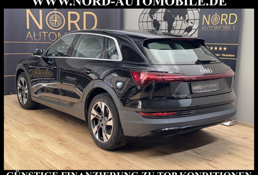 Audi e-tron e-tron 50 QU. Teilleder/Kamera/Navi/LED/20