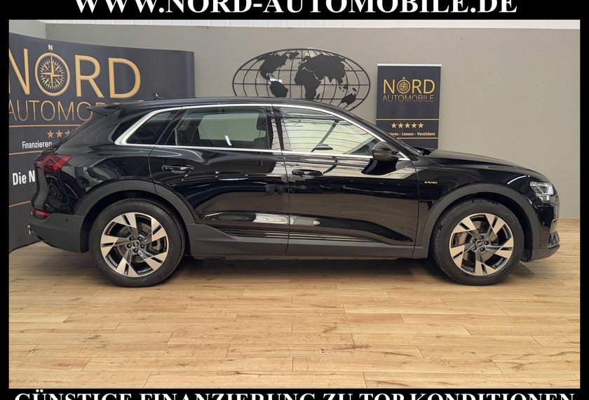 Audi e-tron e-tron 50 QU. Teilleder/Kamera/Navi/LED/20