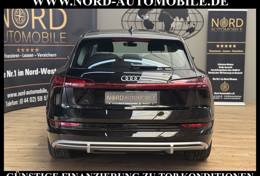 Audi e-tron e-tron 55 S-Line QU.Leder/Matrix/B&amp;O/Kamera/20