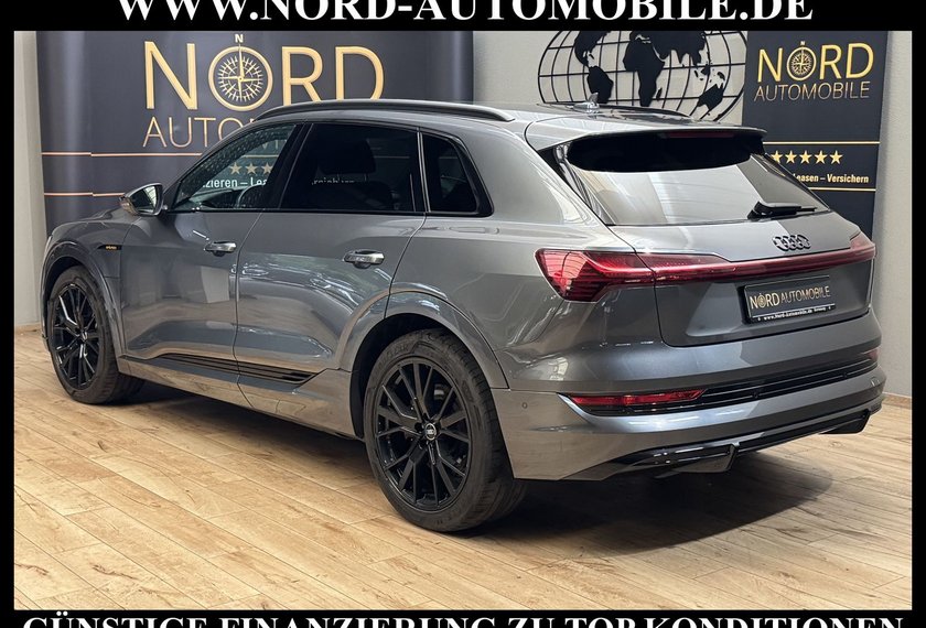 Audi e-tron e-tron 55 QU.S-Line AHK/21/Matrix/Kameras/Navi/
