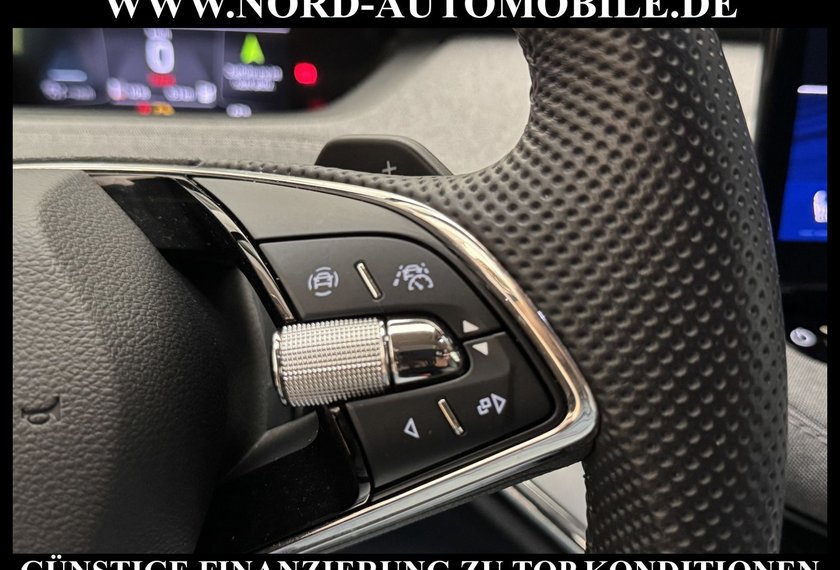 Skoda Enyaq Enyaq iV 80 Loft Kameras/Navi/LED/ACC/20/Side&amp;La