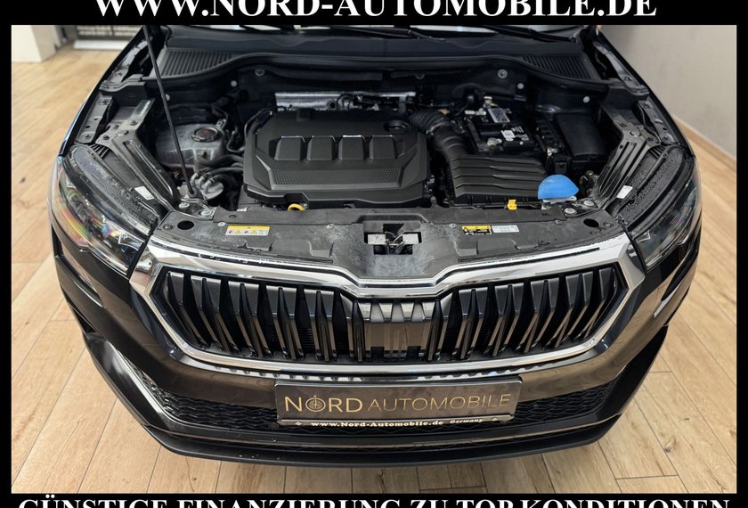Skoda Karoq Karoq Ambition 2.0 TDI DSG Kamera/Virt.Cockpit/