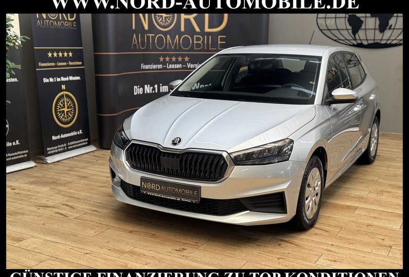 Skoda Fabia Fabia Active 1.0 MPI SmartLink/PDC/Klima/LED