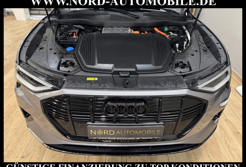 Audi e-tron e-tron 55 QU.Advanced Optik schwarz/Kamera/20/