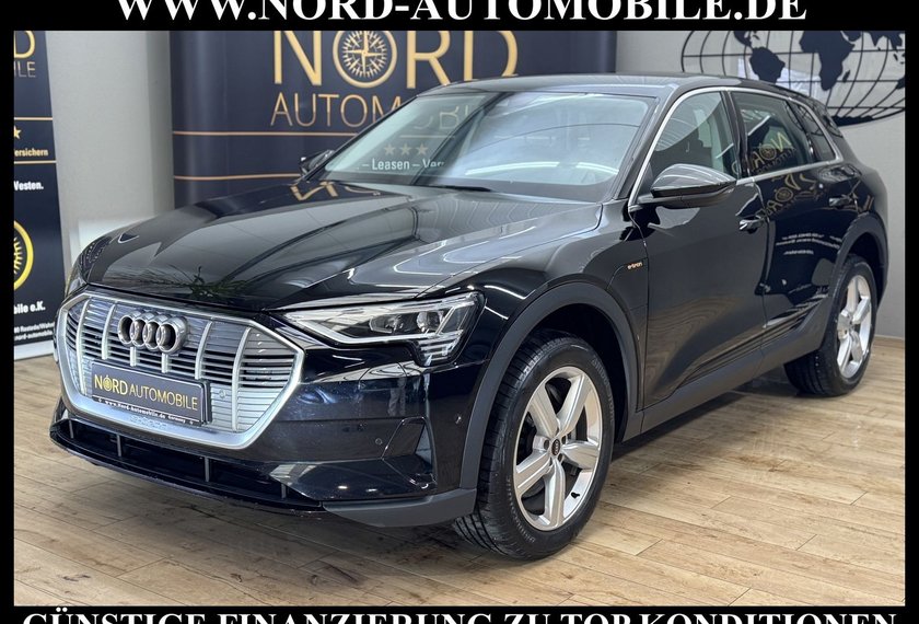 Audi e-tron e-tron 55 QU. Leder/Kamera/Navi/LED/20/97,9%