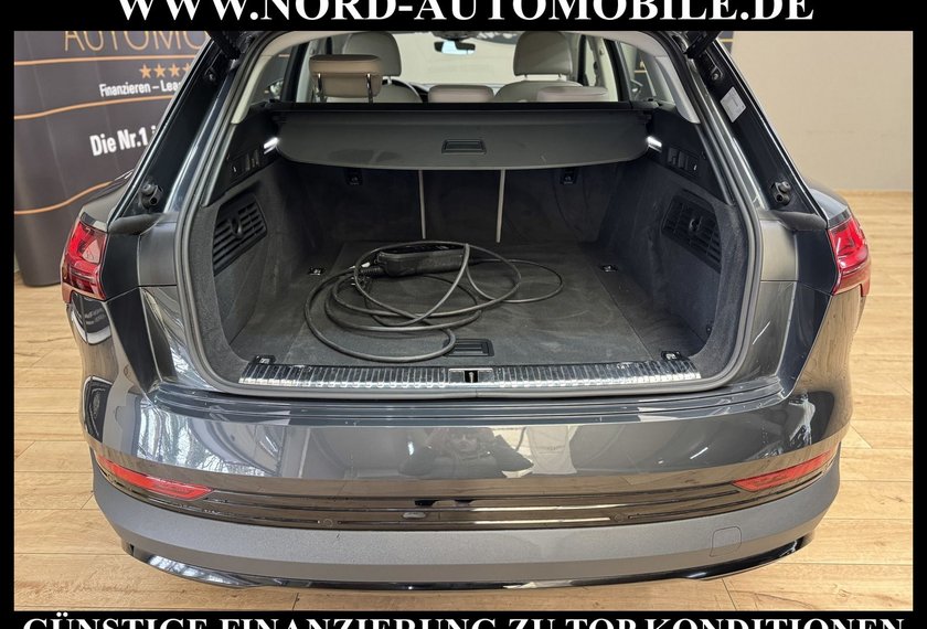 Audi e-tron e-tron 50 QU.Leder/Kamera/AHK/Panorama/21