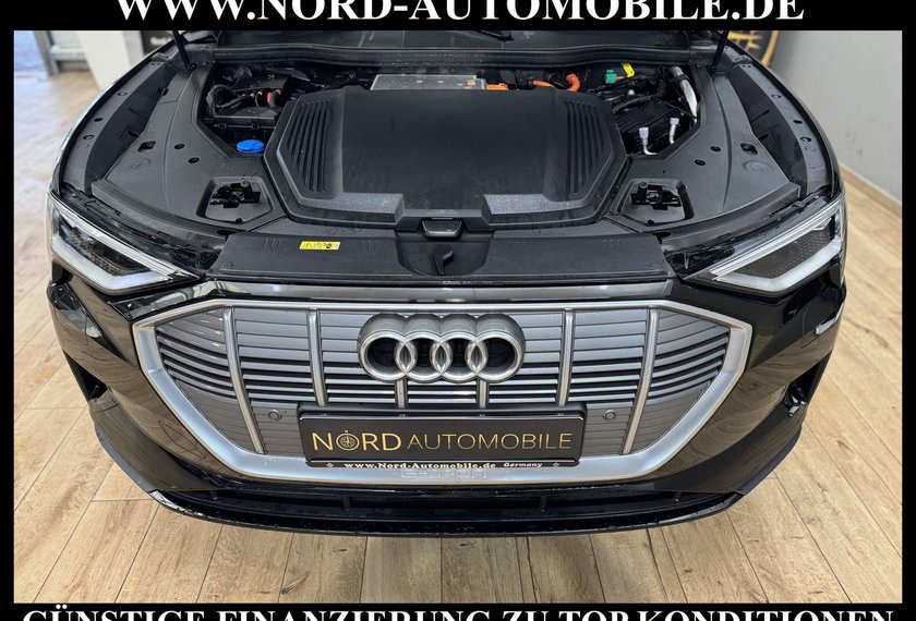 Audi e-tron e-tron 55 QU. Leder/Kamera/Navi/LED/20