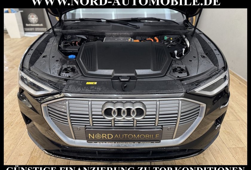 Audi e-tron e-tron 55 QU. Teilleder/AHK/Kamera/20/