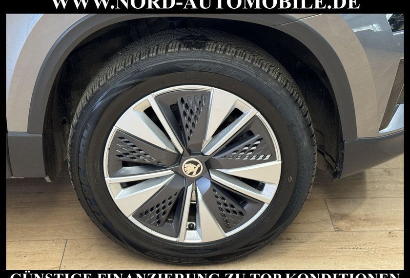 Skoda Karoq Karoq Ambition 2.0 TDI DSG Virt.Cockpit/Kamera/