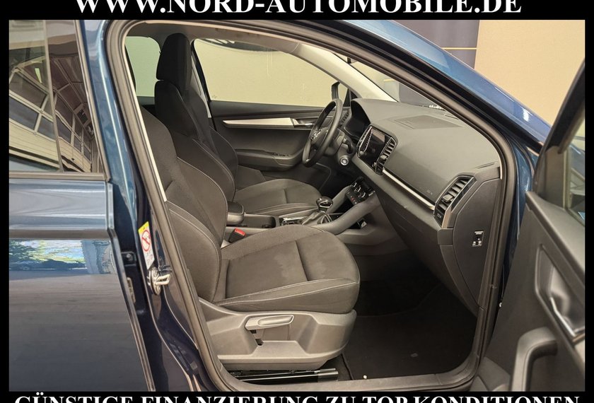 Skoda Karoq Karoq Business 2.0 TDI DSG Virt.Cockpit/Kamera/