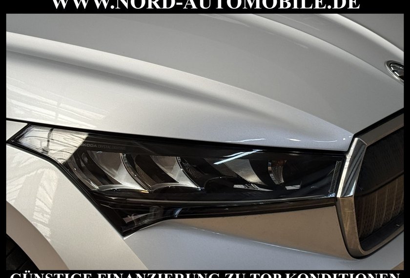 Skoda Enyaq Enyaq iV 60 Loft Teilleder/Navi/AHK/PDC/19