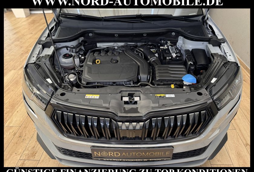 Skoda Karoq Karoq Sportline 1.5 TSI DSG Matrix/Kamera/Virt.C