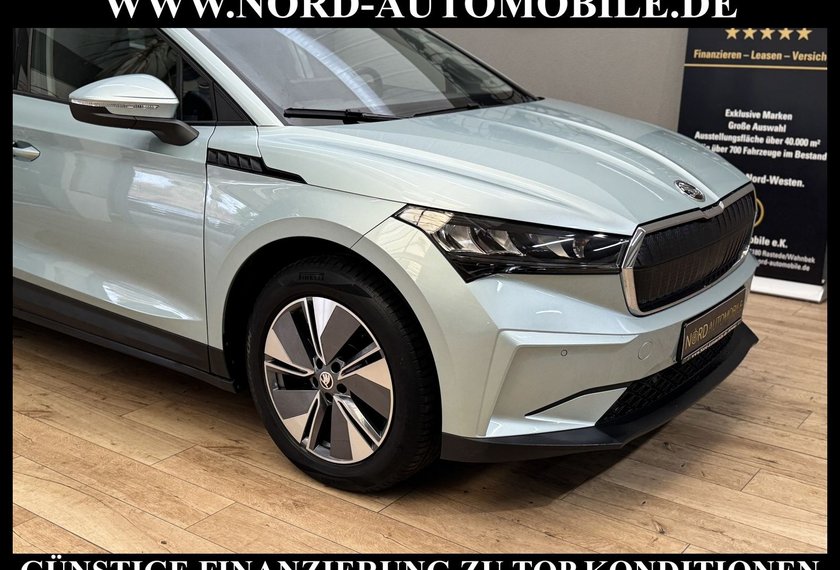 Skoda Enyaq Enyaq iV 60 Suite Leder/Kamera/Navi/LED/19