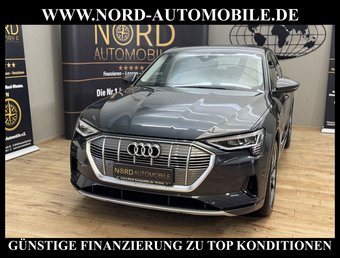 Audi e-tron e-tron 55 QU.Advanced Leder/Kamera/Side&amp;Lane/20