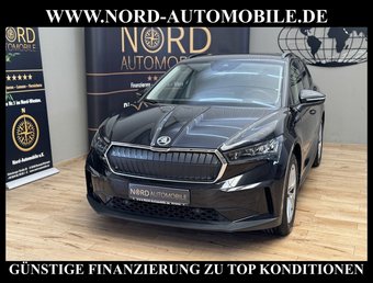 Skoda Enyaq Enyaq iV 60 Eco-Suite Leder/Wärmepumpe/19