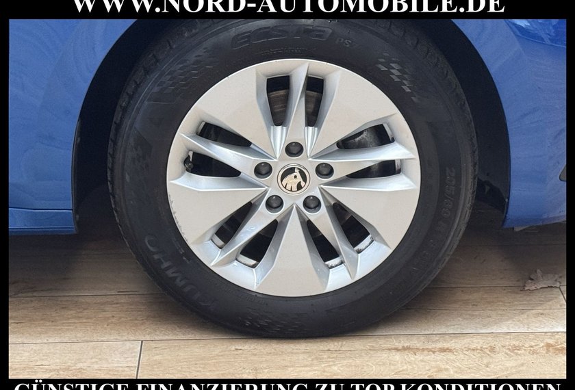 Skoda Octavia Octavia Combi 2.0 TDI DSG Ambition Kamera/Navi/