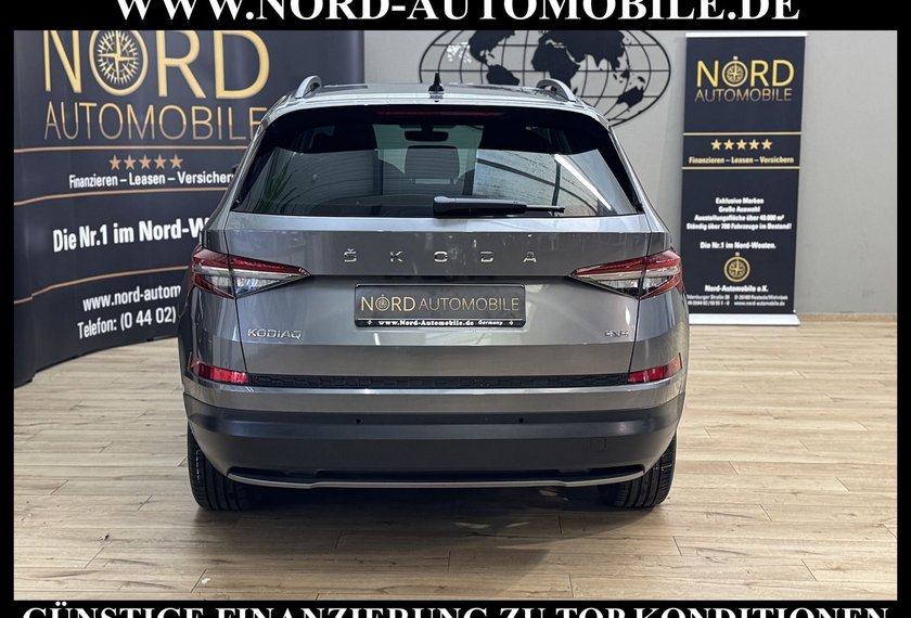 Skoda Kodiaq Kodiaq Ambition 2.0 TDI DSG Leder/AHK/Trittbrett