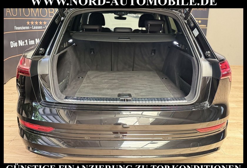 Audi e-tron e-tron 50 QU.Advanced S-Line Matrix/Kamera/21/