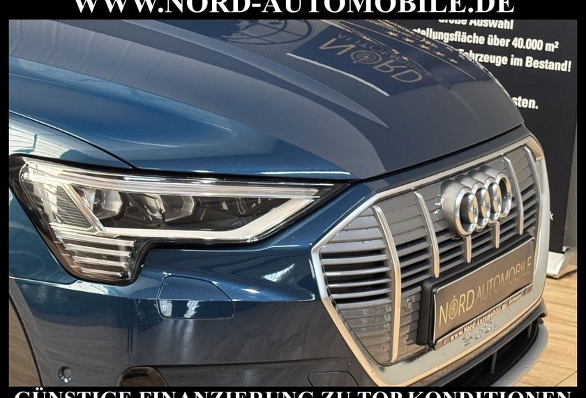 Audi e-tron e-tron 50 QU.S-Line Teilleder/Kamera/Head-Up/20