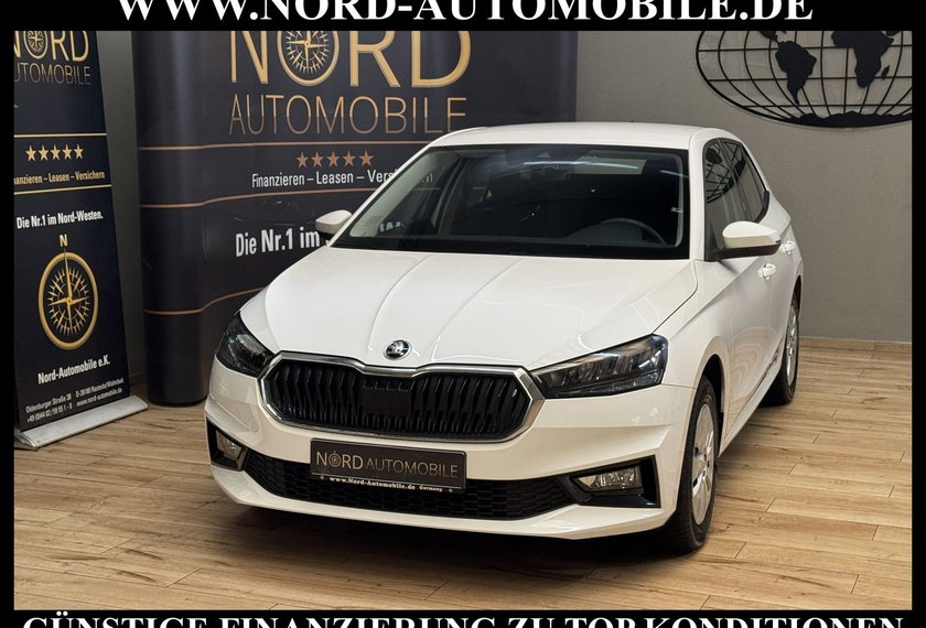 Skoda Fabia Fabia Active 1.0 MPI LED/Klima/SHZ/