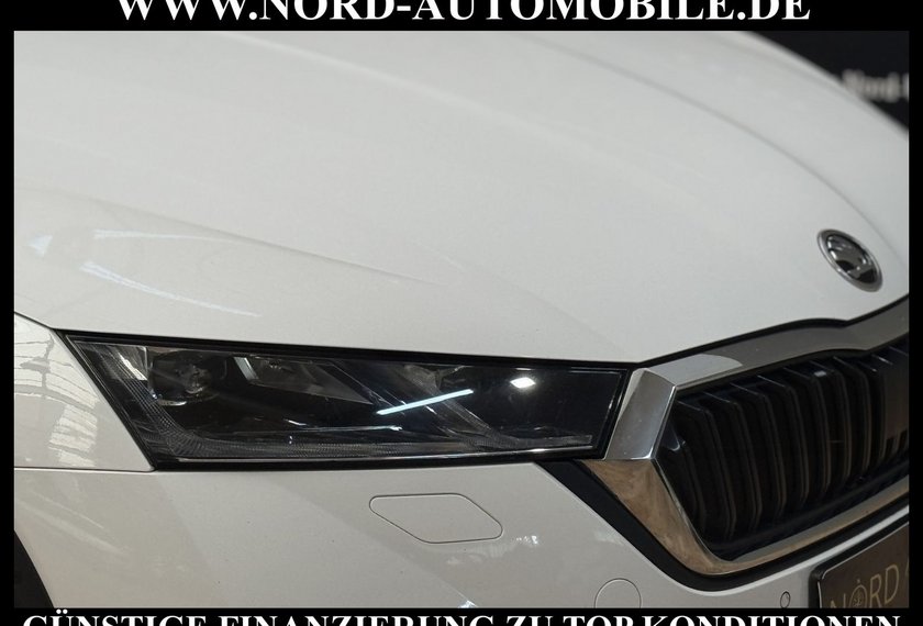 Skoda Octavia Octavia Combi 2.0TDI DSG Scout AHK/Canton/HeadUp