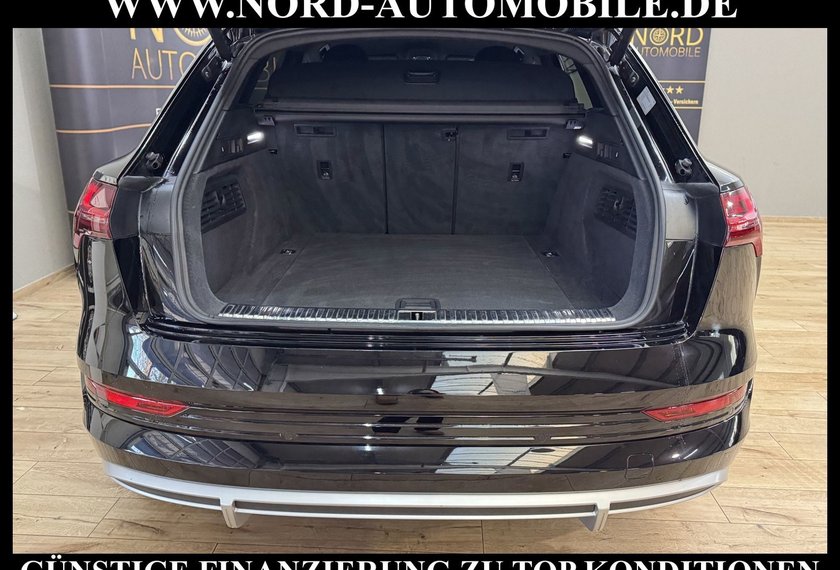 Audi e-tron e-tron 55 QU.S-Line AHK/21/Kamera/ACC/Teilleder
