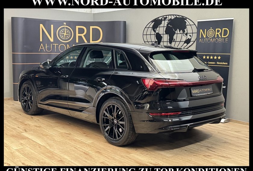 Audi e-tron e-tron 50 QU. S-Line Leder/Navi/LED/21/