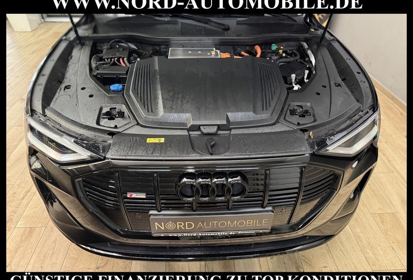 Audi e-tron e-tron 50 QU. S-Line Leder/Navi/LED/21/