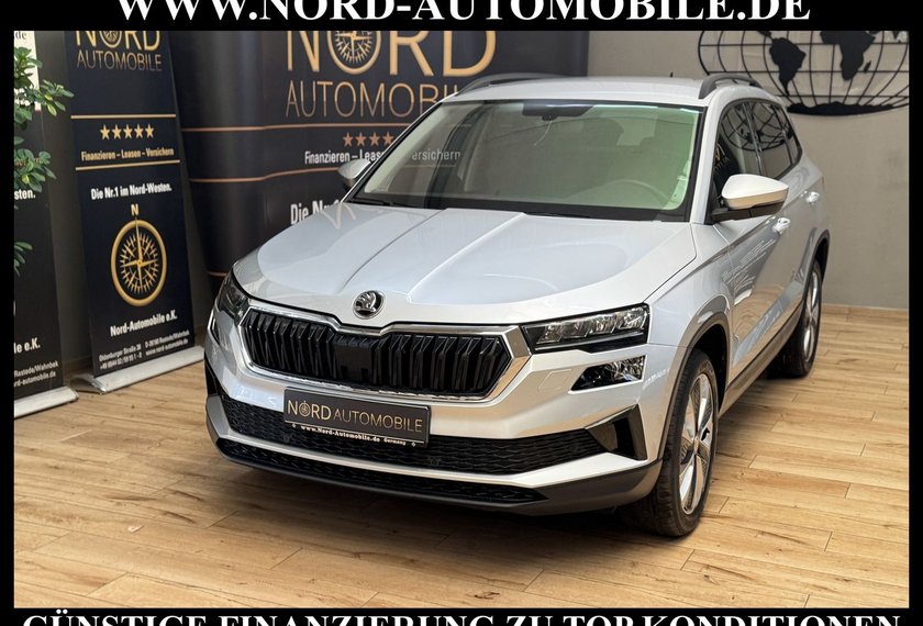 Skoda Karoq Karoq Style 2.0 TDI DSG Virt.Cockpit/Kamera/18